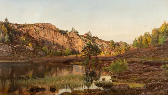 Sommeraften ved et myrtjern