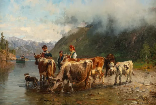 Kyr ved vanningssted