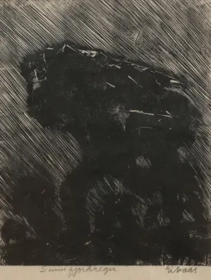 Sunnfjordregn / Regnskyll