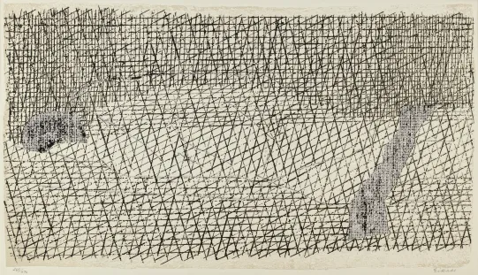 Sovende kvinne / Gitteret