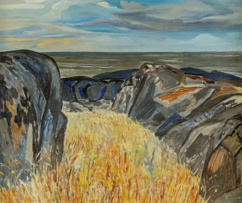 "Skjærgårdslandskap"