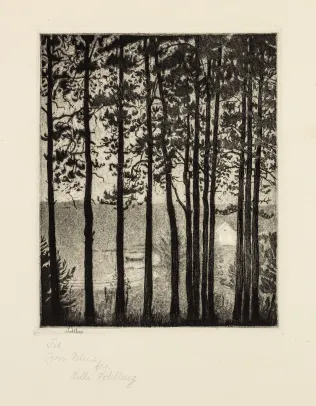 Etsn. "Fiskerens hus"