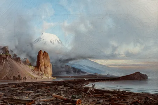 "Polarrev ved Rekvedbukten, Svalbard"