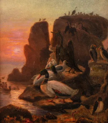 Nordnorsk fuglefjell