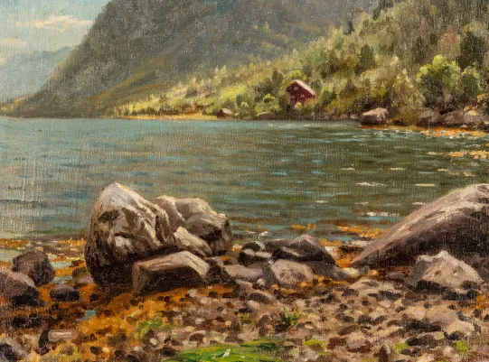 Fjordparti med stener