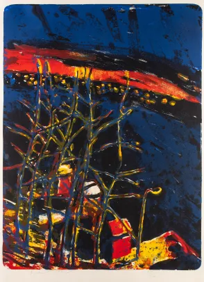 Nattlandskap / Bryggen