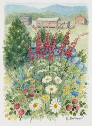 Fjellgård med blomstereng