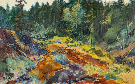 En sommerdag i skogen