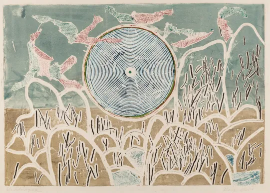 Blek sol / Bleiche Sonne 