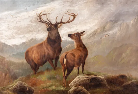 Children of  the mist