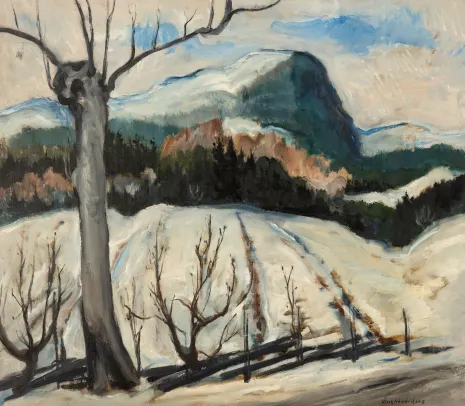 Vinterlandskap med skigard