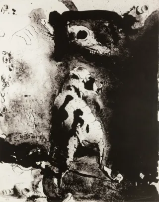 Komposisjon med hund