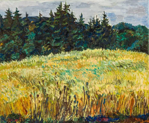 Kornåker, Sørkedalen