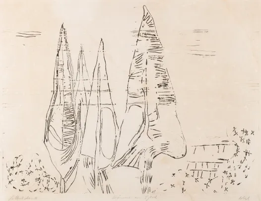 Trær ved fjorden / Bäume am Fjord 