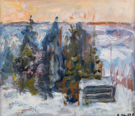 Vinterlandskap med tømmerkoje