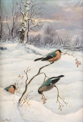 Tre dompapper i snelandskap