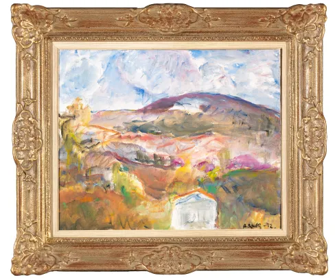 Fjellandskap med hus