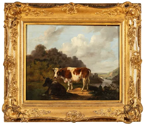 Okse og ku i landskap