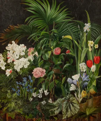 CARL VILHELM BALSGAARD